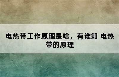 电热带工作原理是啥，有谁知 电热带的原理